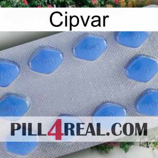 Cipvar 21